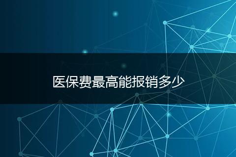 医保费最高能报销多少