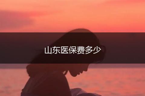 山东医保费多少