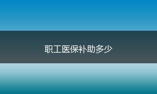 职工医保补助多少