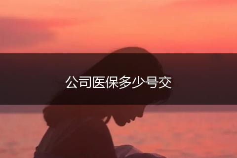 公司医保多少号交