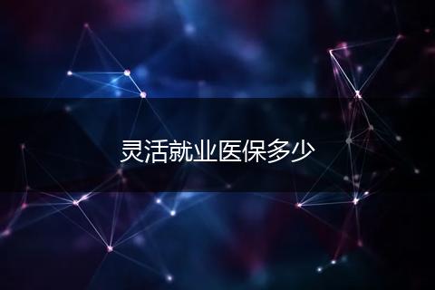灵活就业医保多少