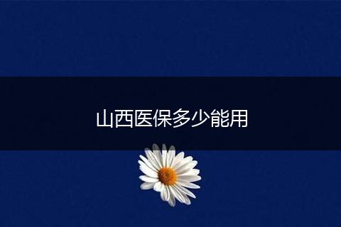 山西医保多少能用