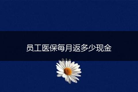 员工医保每月返多少现金