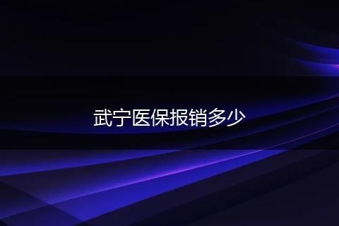 武宁医保报销多少
