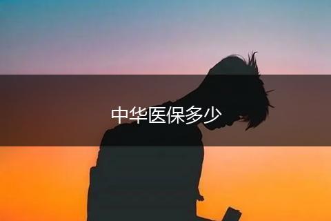 中华医保多少