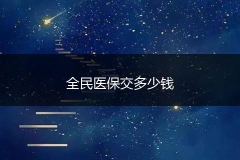 全民医保交多少钱