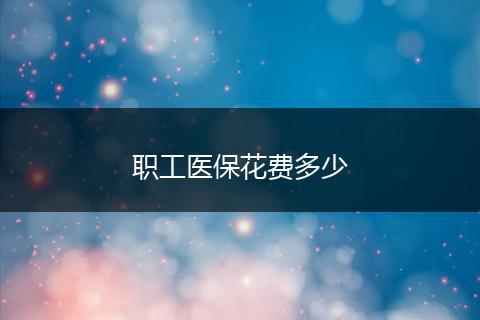 职工医保花费多少