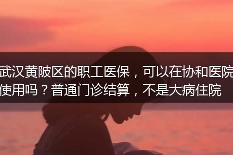 武汉黄陂区的职工医保，可以在协和医院使用吗？普通门诊结算，不是大病住院