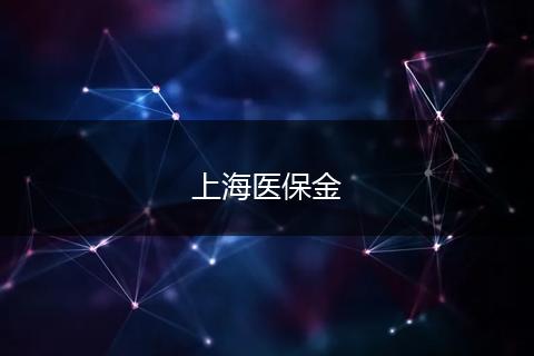 上海医保金