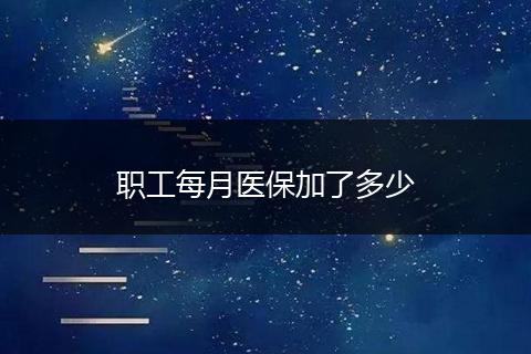职工每月医保加了多少