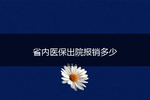 省内医保出院报销多少