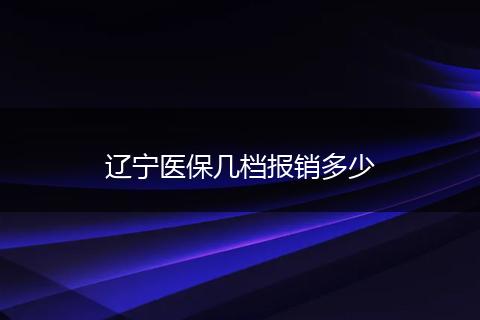 辽宁医保几档报销多少