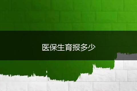医保生育报多少