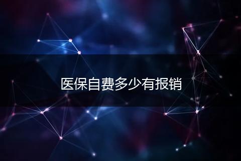 医保自费多少有报销