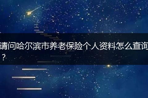 请问哈尔滨市养老保险个人资料怎么查询？