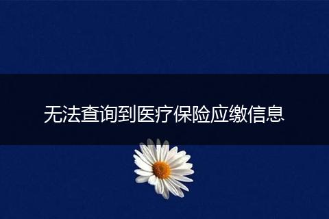 无法查询到医疗保险应缴信息