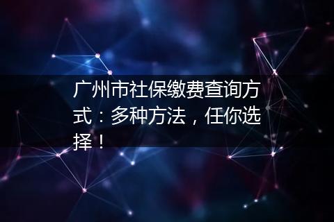 广州市社保缴费查询方式：多种方法，任你选择！