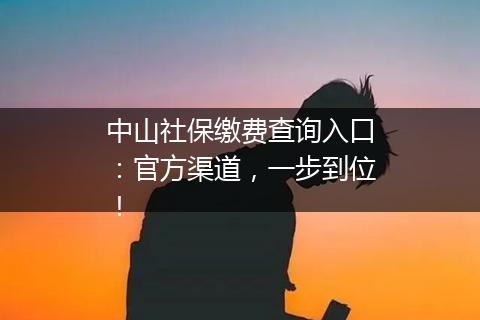中山社保缴费查询入口：官方渠道，一步到位！