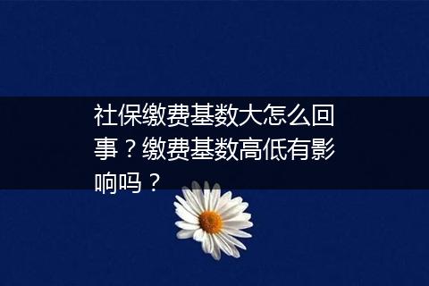 社保缴费基数大怎么回事？缴费基数高低有影响吗？