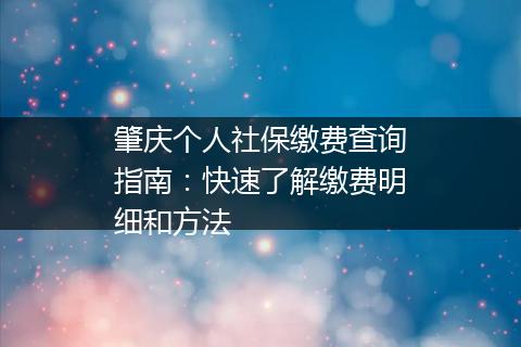 肇庆个人社保缴费查询指南：快速了解缴费明细和方法