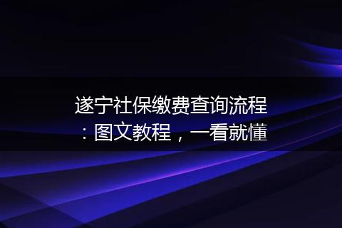 遂宁社保缴费查询流程：图文教程，一看就懂