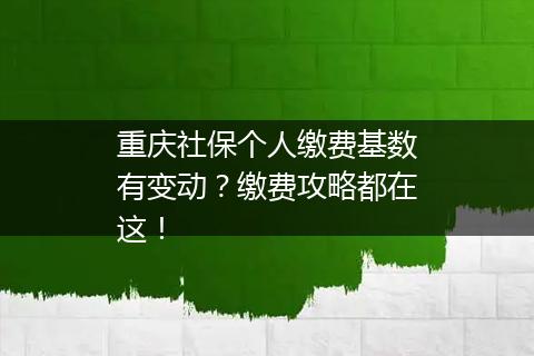 重庆社保个人缴费基数有变动？缴费攻略都在这！