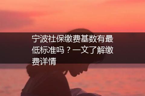 宁波社保缴费基数有最低标准吗？一文了解缴费详情