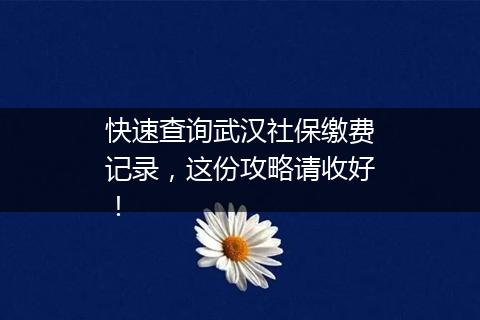 快速查询武汉社保缴费记录，这份攻略请收好！