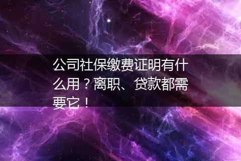 公司社保缴费证明有什么用？离职、贷款都需要它！