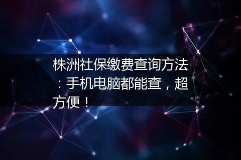 株洲社保缴费查询方法：手机电脑都能查，超方便！