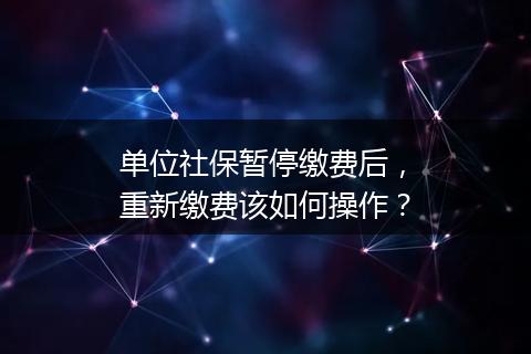 单位社保暂停缴费后，重新缴费该如何操作？