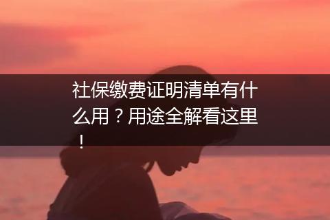 社保缴费证明清单有什么用？用途全解看这里！