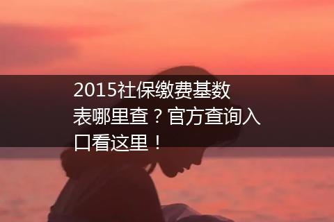 2015社保缴费基数表哪里查？官方查询入口看这里！