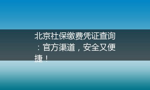 北京社保缴费凭证查询：官方渠道，安全又便捷！