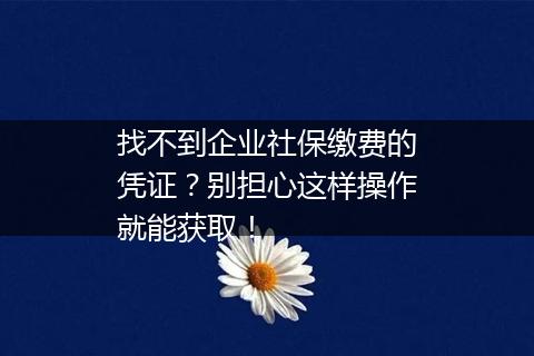 找不到企业社保缴费的凭证？别担心这样操作就能获取！