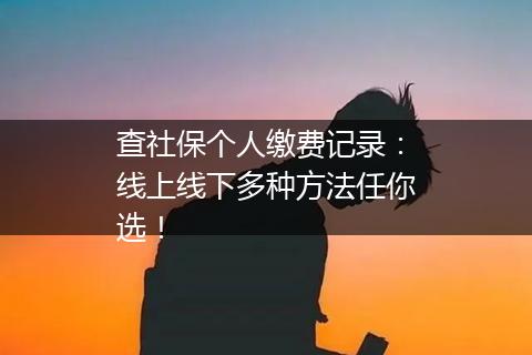 查社保个人缴费记录：线上线下多种方法任你选！