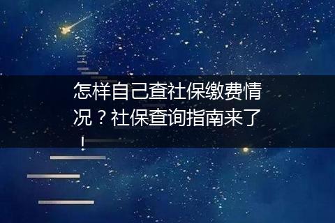 怎样自己查社保缴费情况？社保查询指南来了！