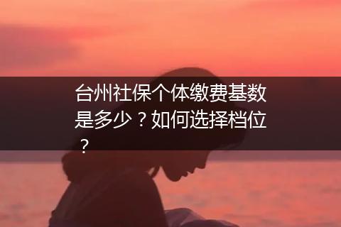 台州社保个体缴费基数是多少？如何选择档位？