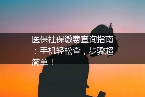 医保社保缴费查询指南：手机轻松查，步骤超简单！