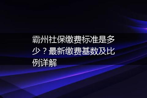 霸州社保缴费标准是多少？最新缴费基数及比例详解