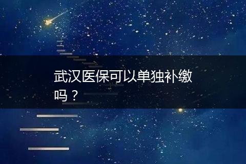武汉医保可以单独补缴吗？