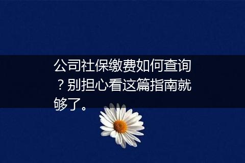 公司社保缴费如何查询？别担心看这篇指南就够了。