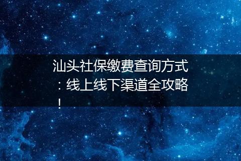 汕头社保缴费查询方式：线上线下渠道全攻略！
