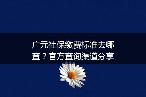 广元社保缴费标准去哪查？官方查询渠道分享