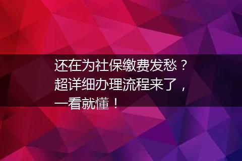 还在为社保缴费发愁？超详细办理流程来了，一看就懂！