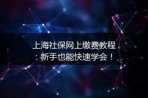 上海社保网上缴费教程：新手也能快速学会！