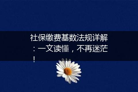 社保缴费基数法规详解：一文读懂，不再迷茫！