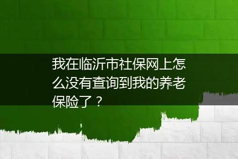我在临沂市社保网上怎么没有查询到我的养老保险了？