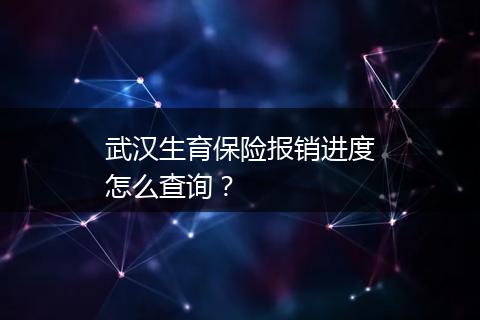 武汉生育保险报销进度怎么查询？