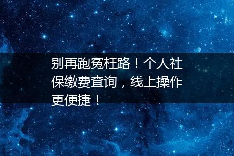 别再跑冤枉路！个人社保缴费查询，线上操作更便捷！